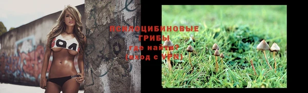 крисы Лабытнанги