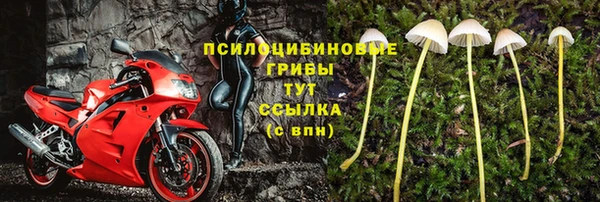 spice Ладушкин