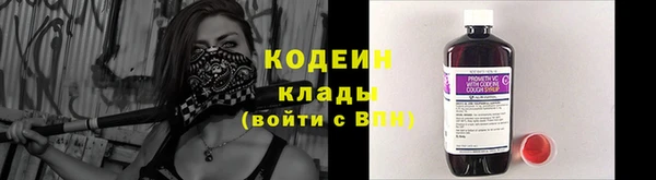 крисы Лабытнанги