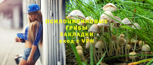 spice Ладушкин