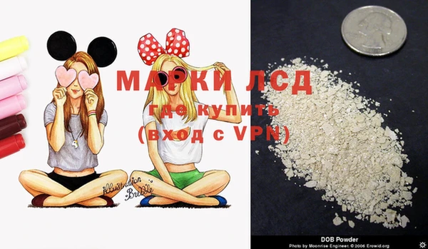 spice Ладушкин