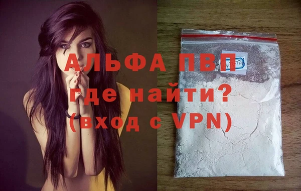spice Ладушкин