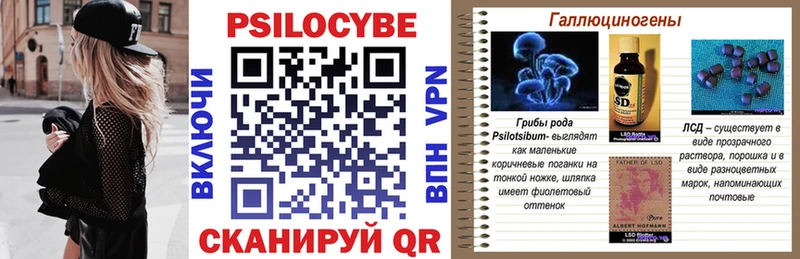 Галлюциногенные грибы Psilocybe  Жигулёвск 